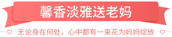 5.11母亲节鲜花