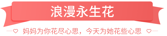 5.11母亲节鲜花