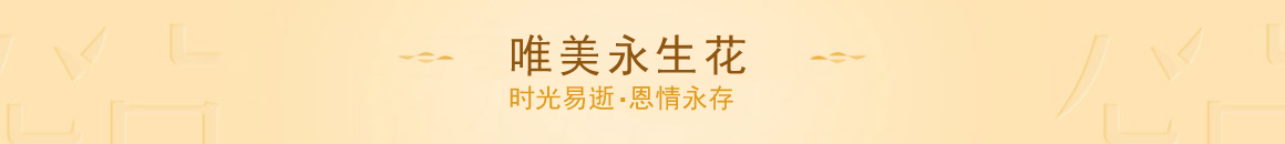 9.10教师节鲜花