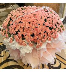 鲜花：谢谢您的爱 520枝粉色康乃馨