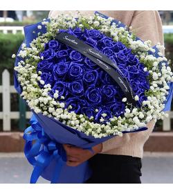 鲜花：幸福的微笑 33枝蓝玫瑰