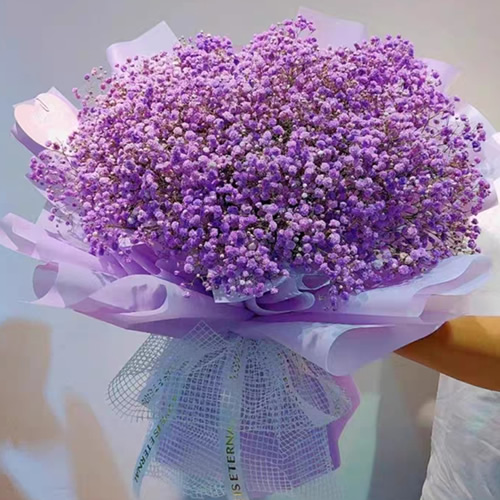 鲜花：从此幸福 紫色满天星