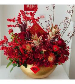 年宵花：冬青聚宝盆 鲜花