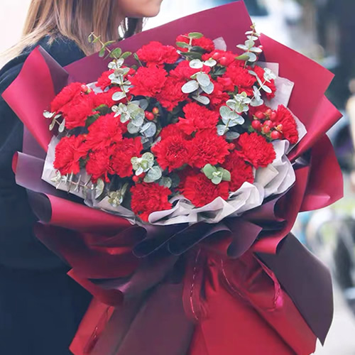 鲜花：感谢您的爱  33枝红康乃馨