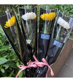 哀思鲜花：单枝黄白菊（10束起售）
