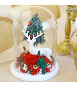 永生花：圣诞麋鹿