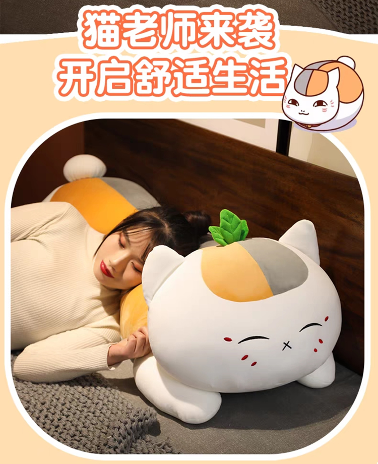 猫老师卡通可爱表情猫咪抱枕靠枕