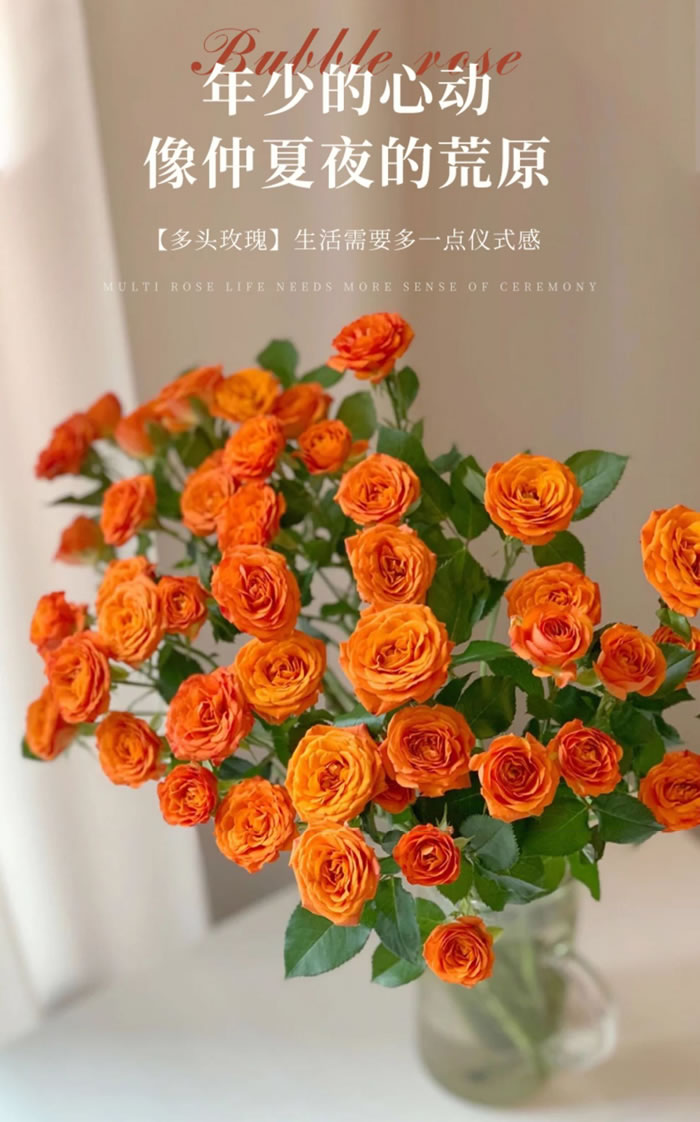 多头小玫瑰鲜花 10枝/扎 多色可选 办公室居家客厅摆设装饰