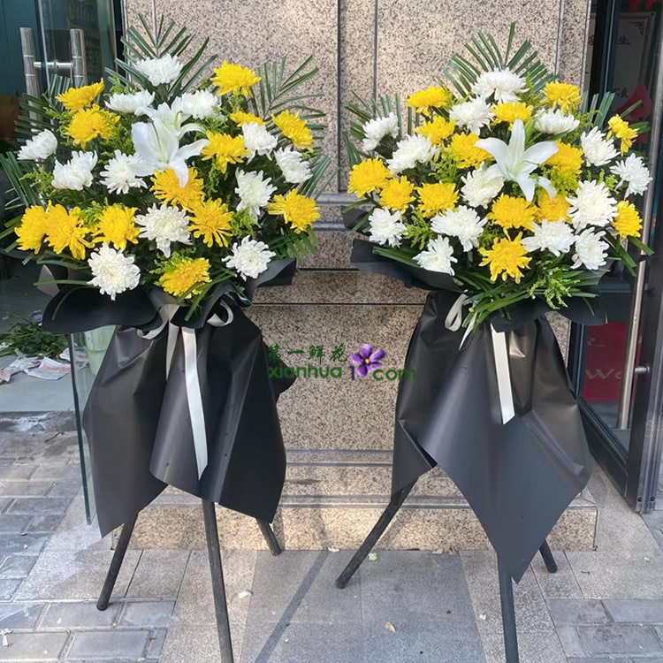 黄菊花15枝，白菊花15枝，2朵白百合，黄英插间，散尾叶外围