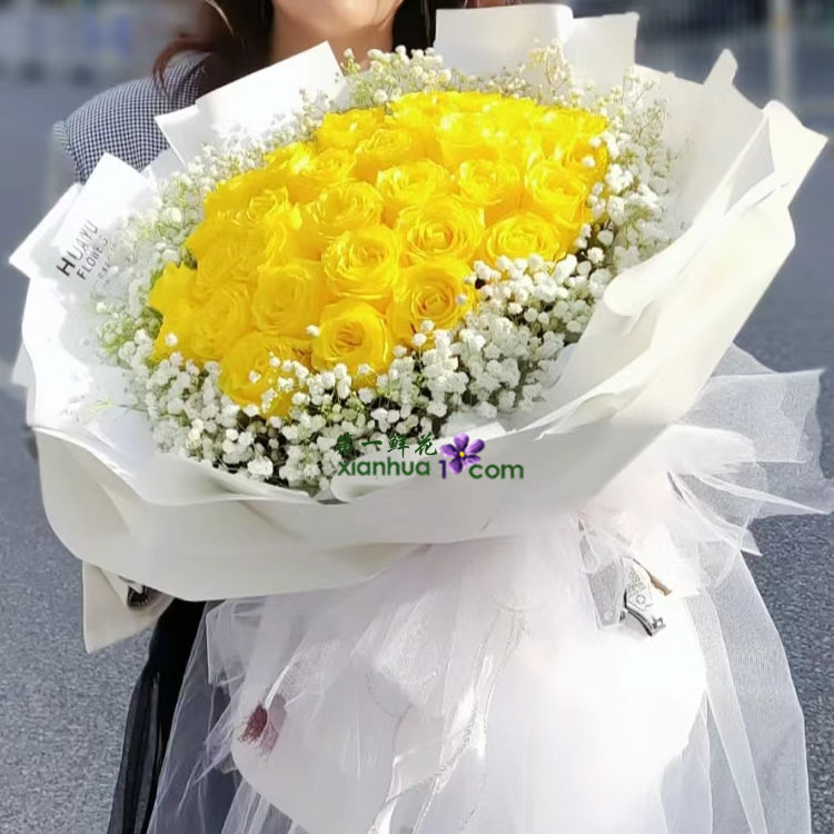 33枝金枝玉叶黄玫瑰