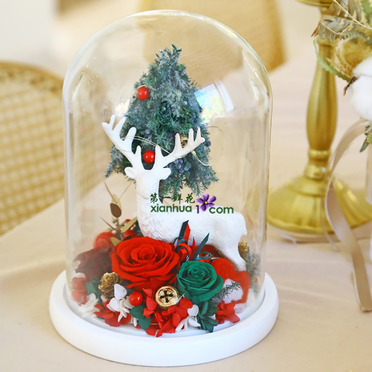 圣诞树、麋鹿,永生玫瑰玻璃罩
