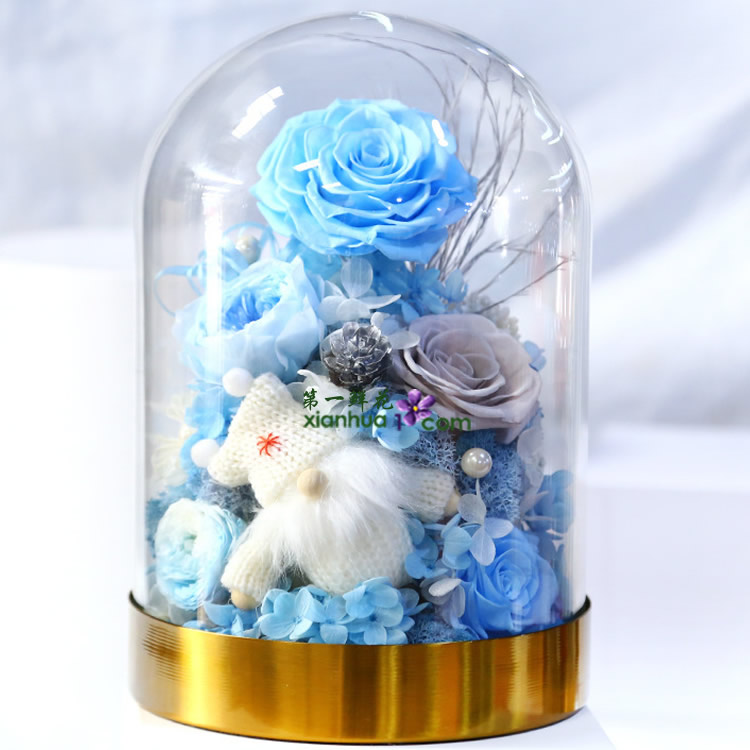 圣诞快乐永生花蓝色款 玻璃罩