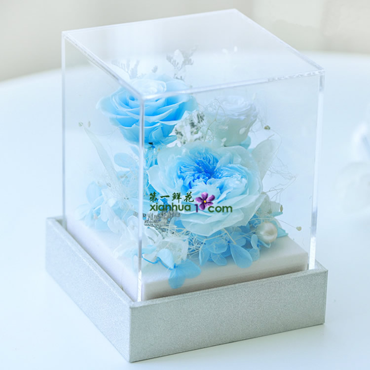 浪漫叙事 蓝色款