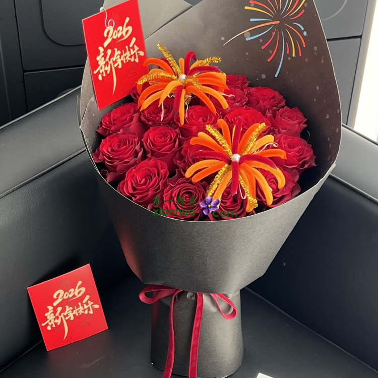 19枝红玫瑰，2个扭扭棒烟花装饰