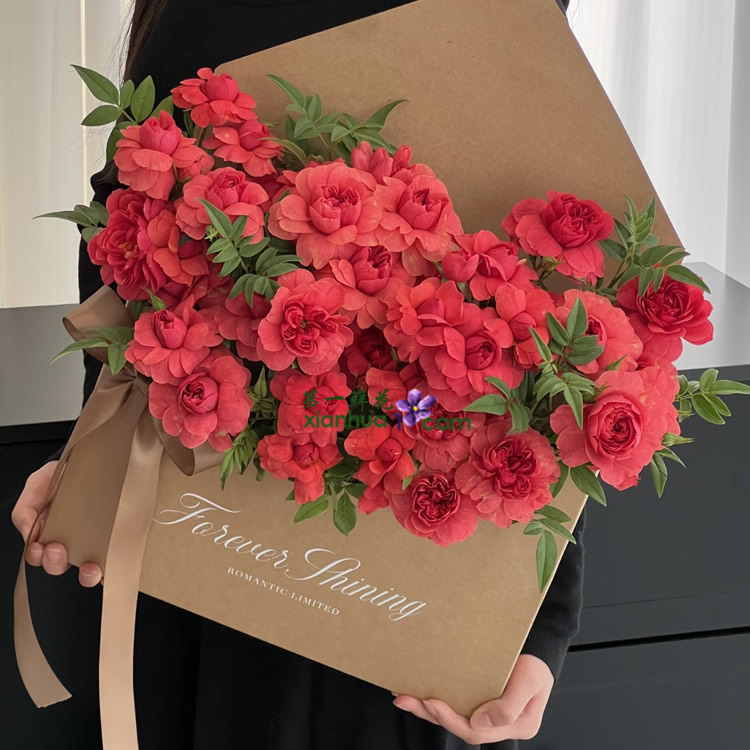 绝色果汁多头玫，九星叶