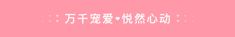 生日鲜花