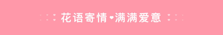 双十一鲜花